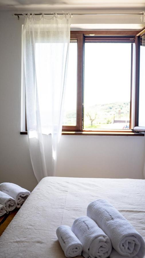 Casale Adriatico B&B Pineto Ngoại thất bức ảnh